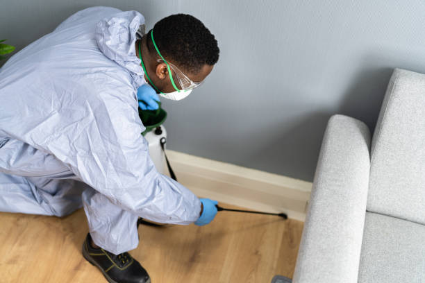 Best Pest Exclusion Services  in Kingstree, SC